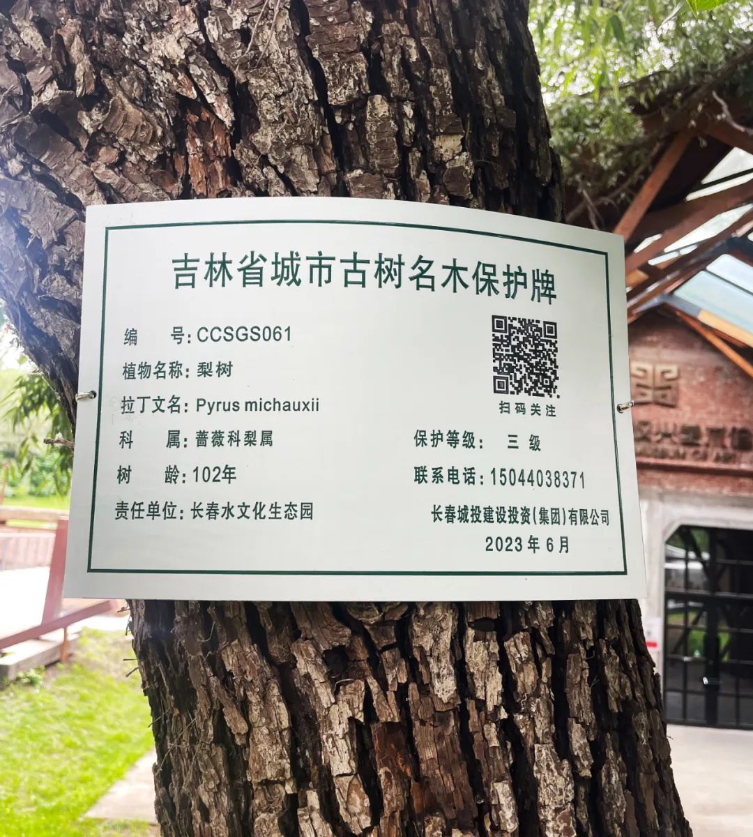 js6666zs金沙(中国游)有限公司官网
