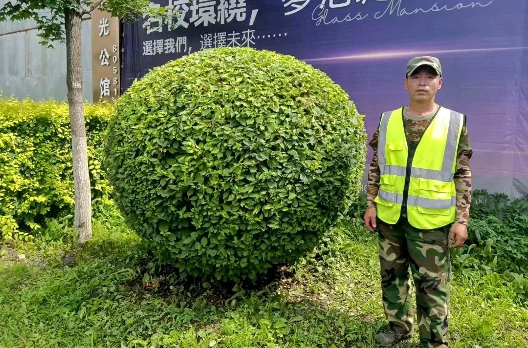 js6666zs金沙(中国游)有限公司官网